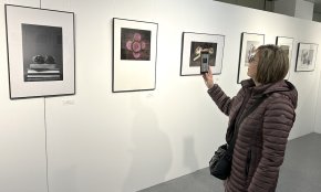 La Sala Àgora de l’Ajuntament inaugura una nova exposició dedicada a la carxofa, la flor d’hivern