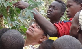El tast popular de carxofes recapta 960 euros per al projecte del missioner cambrilenc Cristí Savall al Senegal