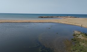 Granotes a peu de platja