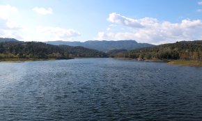 Les pluges del març reobren la disputa entre ecologistes i regants de Riudecanyes per l'aigua del riu Siurana