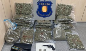 Els Mossos desmantellen un magatzem de cànnabis a Vinyols i els Arcs