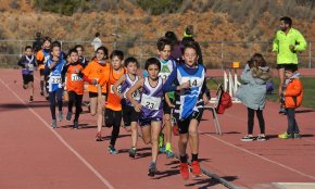 Un centenar d'atletes competeixen al 51è Trofeu Salceda i Castells d'atletisme