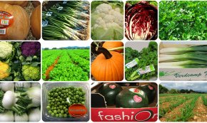L'empresa cambrilenca Verdcamp Fruits, guardonada amb un dels Premis a la Innovació Tecnològica Agroalimentària