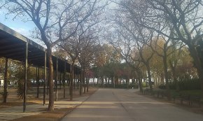 Cs reclama una política de parcs i jardins que tingui en compte a les persones al·lèrgiques   