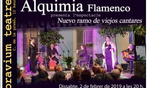 Alquimia Flamenco presentarà l'espectacle «Nuevo ramo de viejos cantares», dissabte al Bravium Teatre de Reus