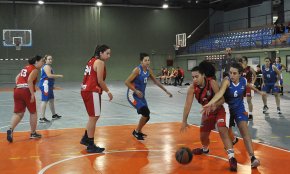 El CB Cambrils femení es desfà amb comoditat del cuer del grup, el Bàsquet Teresianes