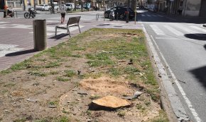 Es talen set plataners del passeig de l'estació