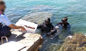 Els Mossos d'Esquadra investiguen dues persones per extracció de dàtil de mar a la zona del Port de Cambrils