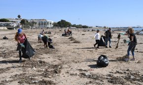 Grups de voluntaris netegen les platges de Vilafortuny i d'Horta de Santa Maria
