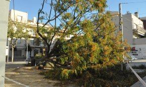 Nombroses incidències a Cambrils per l'intens temporal de vent 