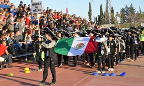 Ciutadans vol que l'organització de El Mundialito es tradueixi "en un benefici real per Cambrils"