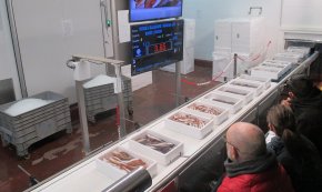 Últimes places per participar a la visita guiada a la Confraria de Pescadors i al tast d’olis de la Cooperativa Agrícola