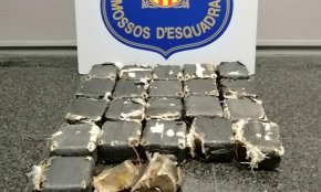 El temporal «Gloria» arrossega 13 quilos d'haixix fins a una platja de Mont-roig del Camp