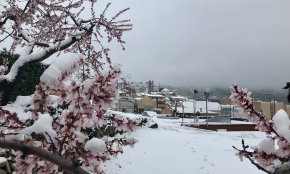 La neu emblanquina Vandellòs 