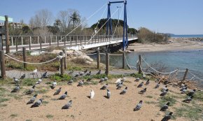 El silenci dels passejos (crònica del setzè dia de confinament)