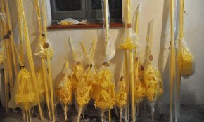 El coronavirus deixa sense activitat el taller artesanal de palmes i palmons de Maria Teresa Nat