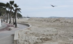Es reprenen els treballs d'adequació i condicionament de les platges cambrilenques