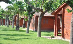 La Federació Catalana de Càmpings reclama una informació més precisa per dur a terme el pla de desconfinament