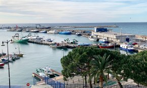 Les barques d'arrossegament reprenen l'activitat pesquera després de dos mesos d'aturada biològica