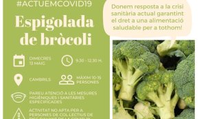 La Fundació Espigoladors farà una nova recollida de bròquil a Cambrils