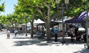 El mercadet ambulant compleix 25 anys a l'actual ubicació del passeig d'Albert 