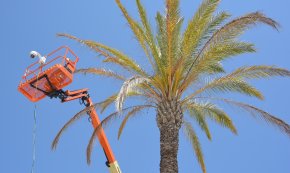 Salou instal·larà més d'una vintena de sensors a les platges per regular-ne l'aforament en temps real