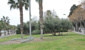 Suport unànime del plenari a que la demarcació de Tarragona adquireixi el distintiu de zona verda europea
