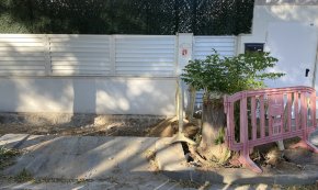 Queixes dels veïns del carrer d'Auguste Renoir per l'estat de les voreres i la manca de manteniment de l'arbrat i la neteja