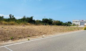 La parcel·la dels Bombers, neta i endreçada!