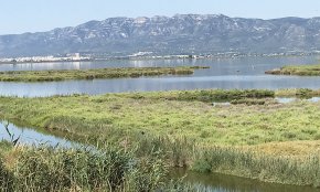 Espais naturals com el Delta de l'Ebre, els Ports, Poblet o la Serra de Montsant van augmentar considerablement el nombre de visitants, aquest estiu