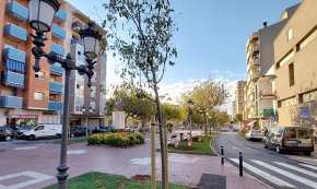 L'Ajuntament reposa l'arbrat dels carrers i places del centre de la Vila i el Port  