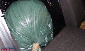 Detingut un home a Cambrils per transportar vint quilos de marihuana al cotxe