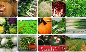 L'empresa Verdcamp Fruits, reconeguda amb un dels Premis BBVA als Millors Productors Sostenibles de l'Estat