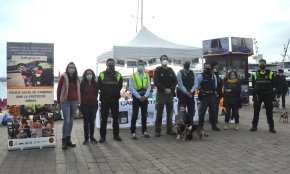 La Patrulla Verda de la Policia Local va recollir més de 250 animals perduts o abandonats durant 2019