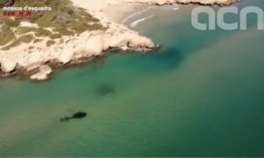 Continua la recerca del windsurfista desaparegut diumenge després de sortir de Cambrils