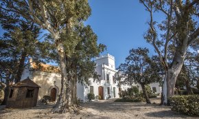 El Mas Miró de Mont-roig del Camp reobre les seves portes a partir d'avui