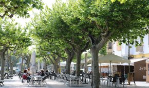 S'exhaureix la primera tongada dels Bons Cambrils 