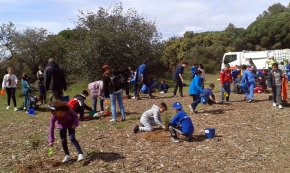 Els escolars cambrilencs planten 80 alzines i 50 freixes a diferents zones verdes del municipi