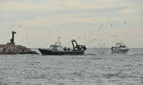 El plenari es posiciona en defensa del sector pesquer d'arrossegament que es veu «amenaçat» per les noves limitacions del Ministeri d'Agricultura i Pesca