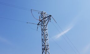 Endesa adequa sis línies elèctriques al Baix Camp per a protegir l'avifauna