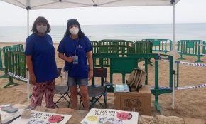 El GEPEC-EdC apel·la al civisme durant la revetlla de Sant Joan per preservar espècies protegides del litoral català