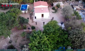 Cau un grup criminal que protegia armat una parcel·la amb prop de 2.300 plantes de marihuana a Reus