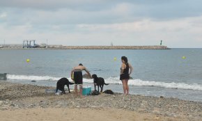 Es reclama una platja «decent» per a gossos a Cambrils a través d'una recollida de signatures virtual