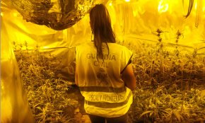 La Guàrdia Civil desmantella una plantació interior de marihuana a Riudoms