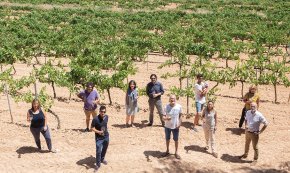 Tret de sortida a la nova Ruta del Vi de la DO Tarragona