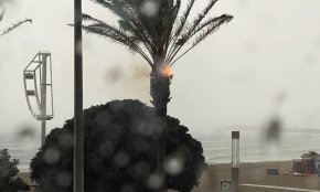 Un llamp provoca un incendi en una palmera del Regueral