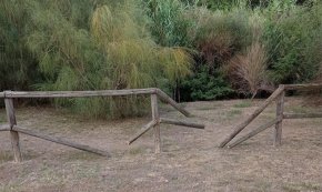 Podem Cambrils denuncia l'estat de "brutícia" i "abandonament" de l'entorn del jaciment arqueològic de la Llosa