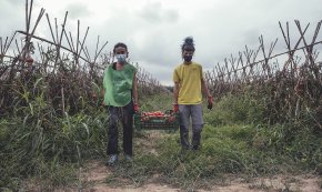 La Fundació Espigoladors recupera 7.236 kg de fruita i verdura a camps del sector primari en la 1a marató d'espigolades per a l'aprofitament alimentari