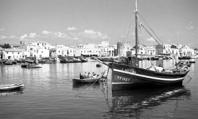  Cambrils se suma a la 26a Setmana de la Ciència   