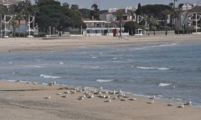 El confinament provocat per la covid va millorar la qualitat de l'aigua del Mediterrani, segons un estudi